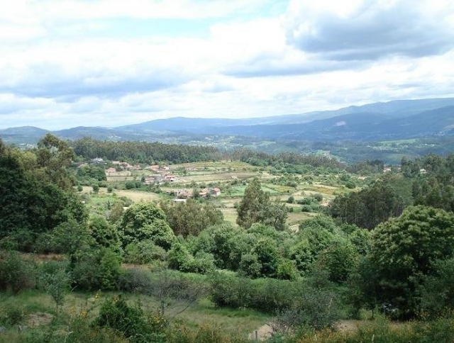 los paisajes.JPG